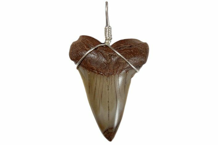Wire Wrapped, Fossil Mako Tooth Necklace #173879